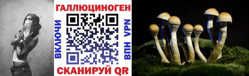 Псилоцибиновые грибы GOLDEN TEACHER  где купить наркоту  Омск 